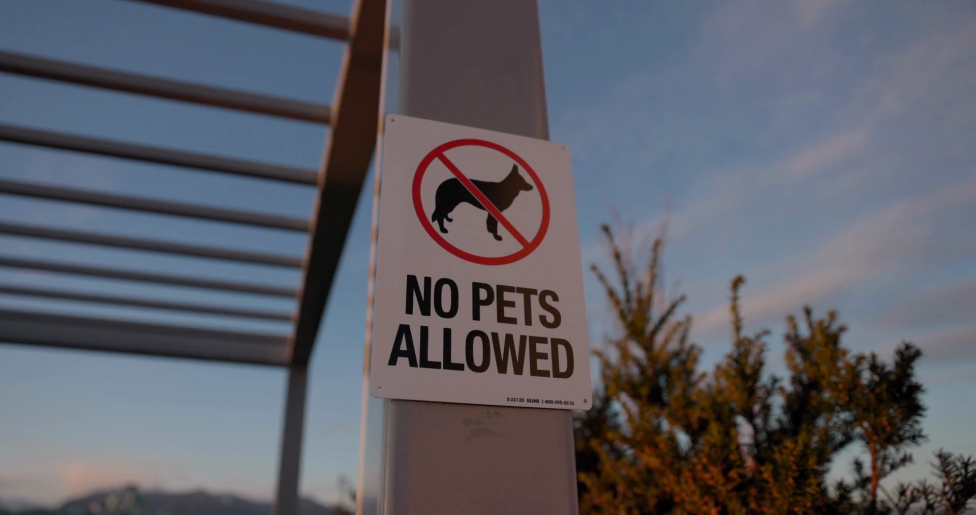No Pets Allowed Sign At Condo Park Close Up Stock Footage SBV347754374