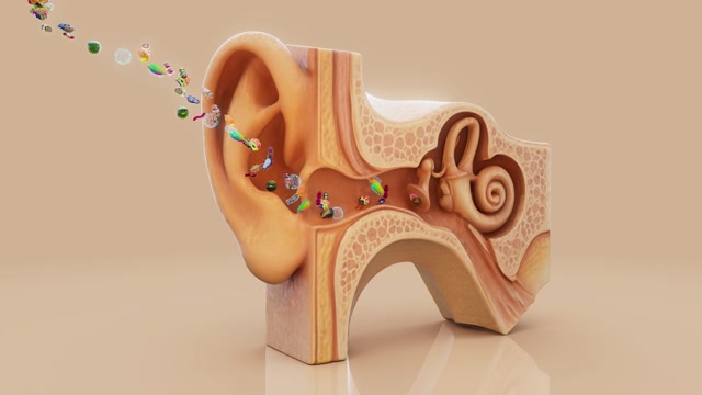 Ear Animation Stock Footage: Royalty-Free Video Clips - Storyblocks