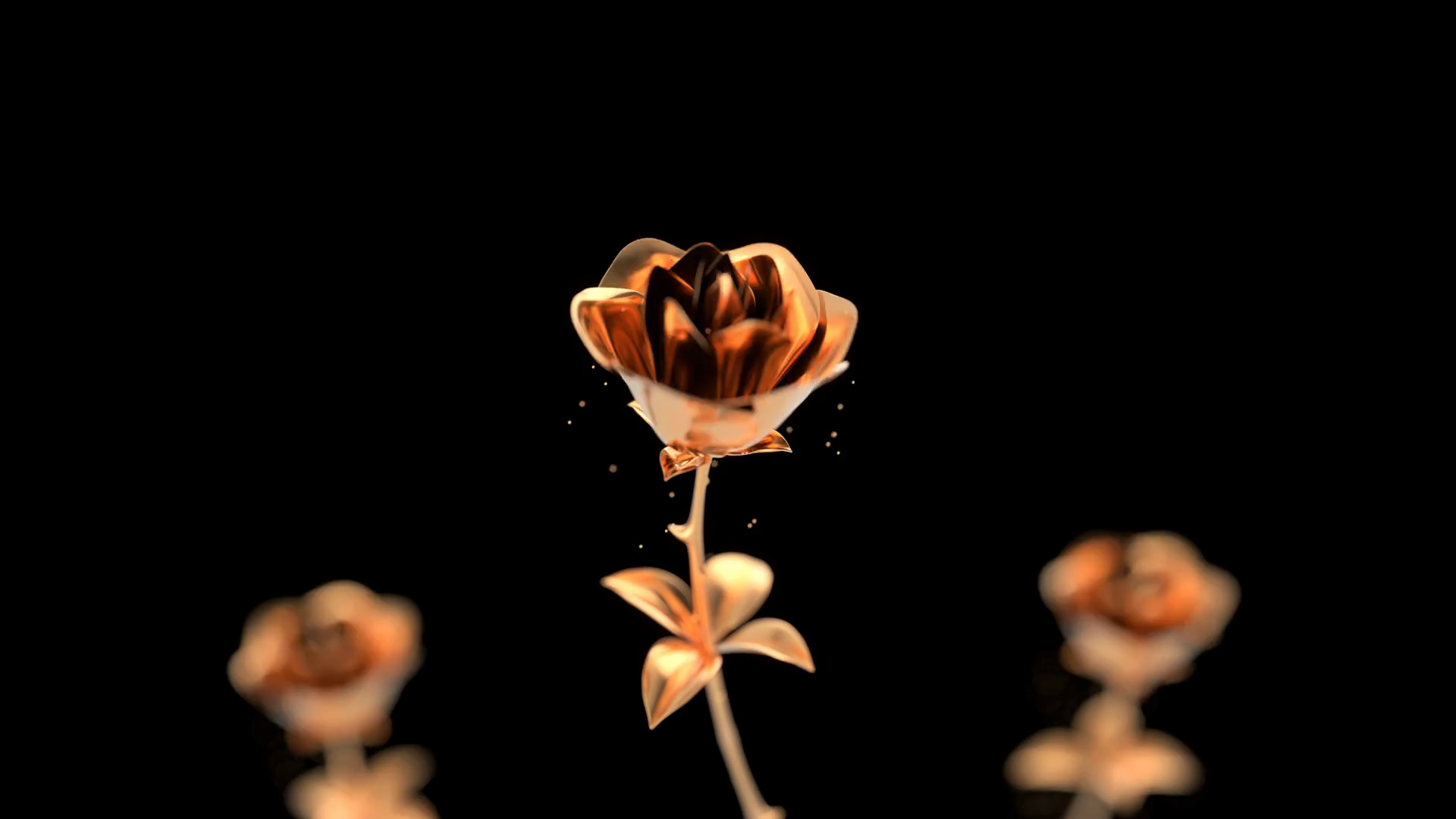 Golden Roses Animated With Particles Flying Stock Motion Graphics SBV ...