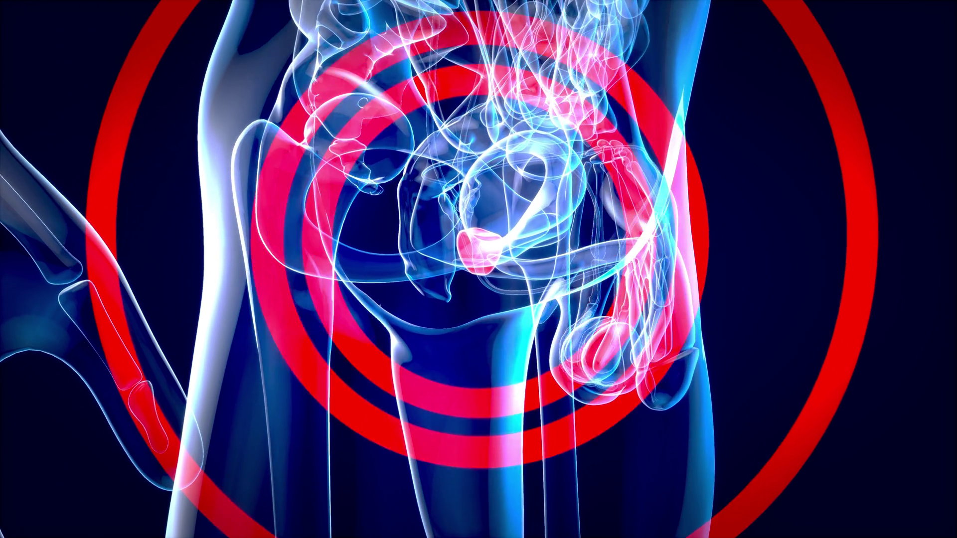 4k Abstract Animation Of Prostate Gland Stock Motion Graphics SBV ...