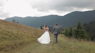 Back view of Caucasian newlyweds walking on mountain slope holding hands, full shot of young wedding couple kissing in autumn nature