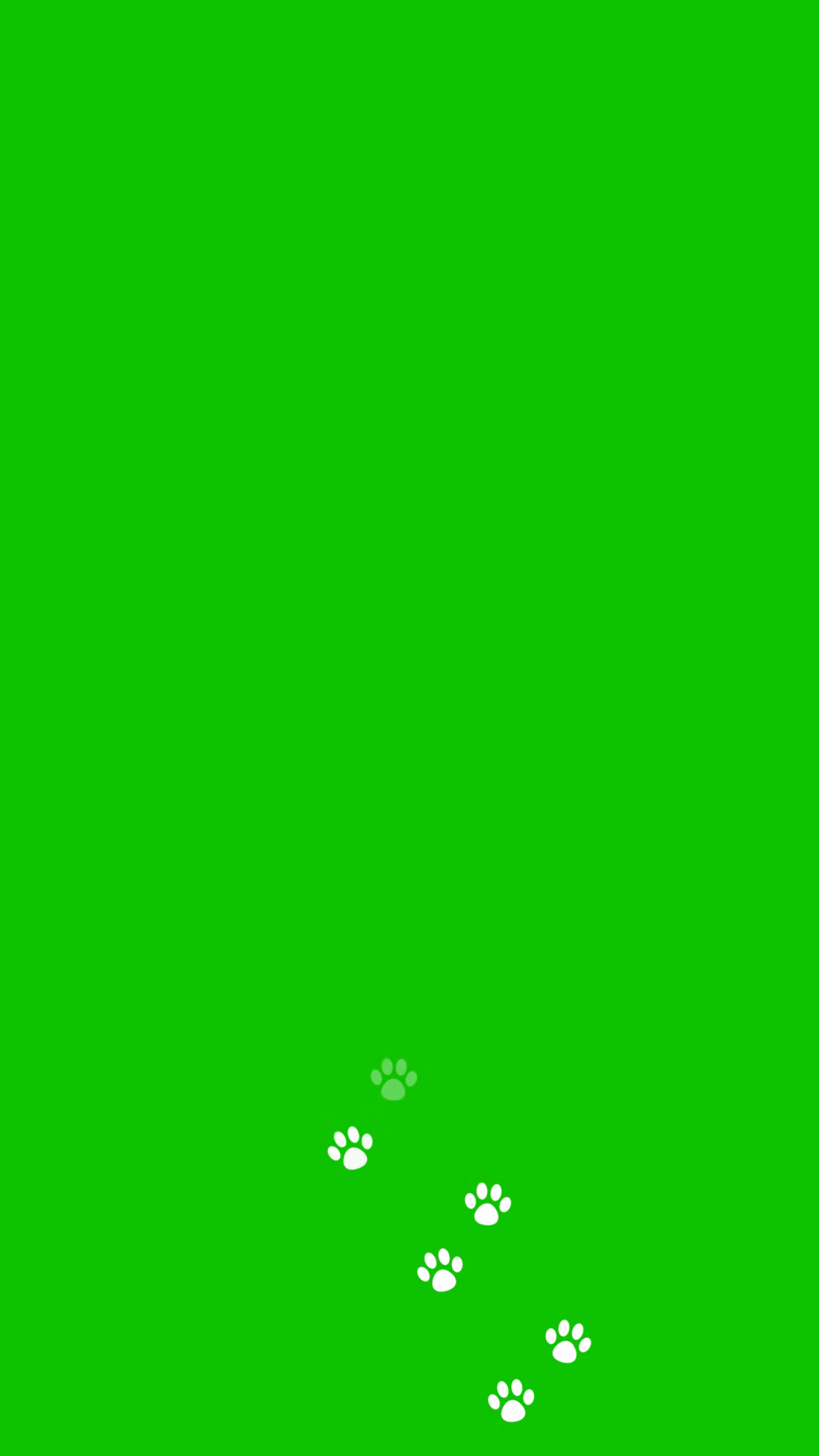 Animal Cat Dog Paw Prints On Green Stock Footage SBV-353939916 ...