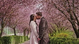 Romantic couple kissing under cherry blossom trees, spring love concept