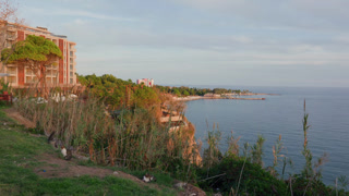 Bright seaside vista. Calm coast with shining cliffs. Gentle shoreline featuring sunny cliffs and animals. Tranquil oceanfront displaying