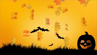 Halloween orange pumpkin on grass, black spiders and flying bats on autumn fall background. Halloween video card for holiday congratulation