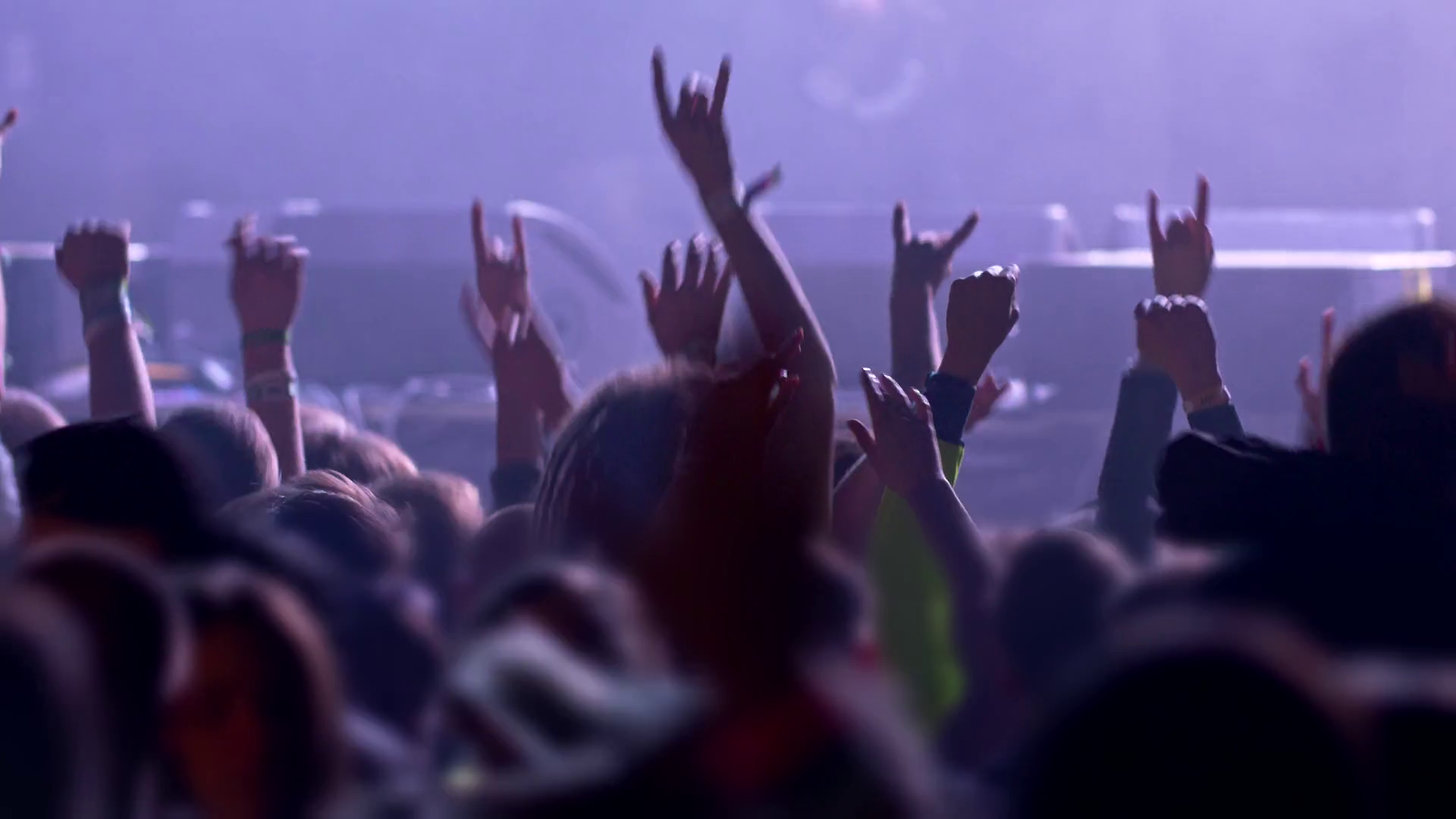 Unrecognizable Fans Dancing At Concert Stock Footage SBV-352297774 ...