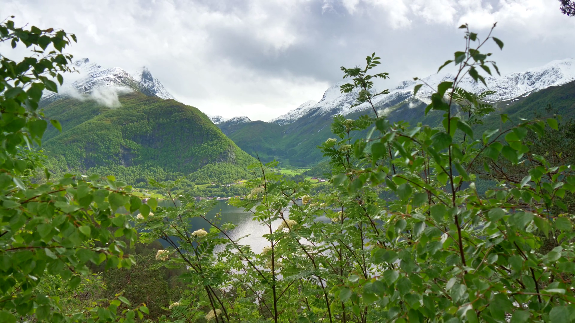 Mountains Trees Fjord In Spring Norway Stock Footage SBV-352347300 ...