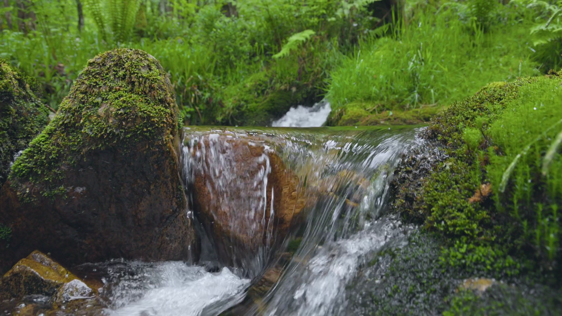 Gimbal Slow Motion Shot Of Mountain Stream Stock Footage SBV-352398938 ...