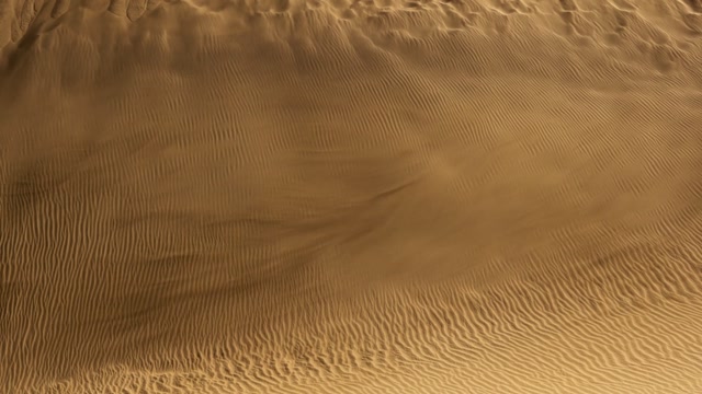 Desert Scene Stock Footage: Royalty-Free Video Clips - Storyblocks