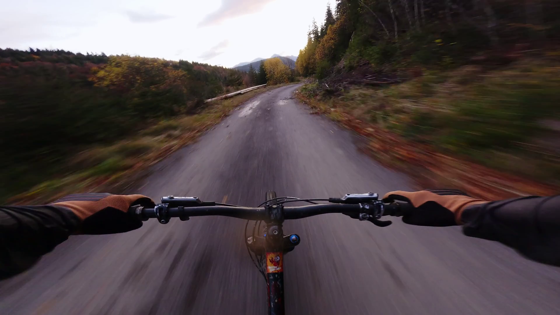 Fast Mtb Bike Ride In Autumn Forest At Dusk Stock Footage SBV-351766600 ...