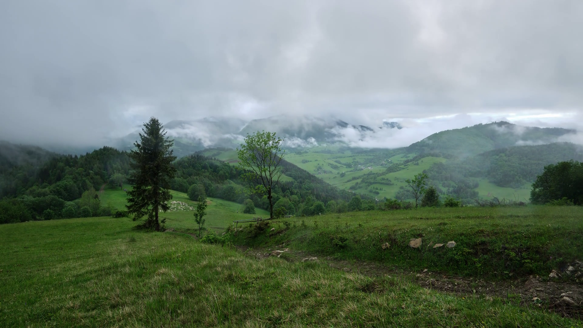 Mountain Landscape With Misty Weather Lush Stock Footage SBV-351768111 ...