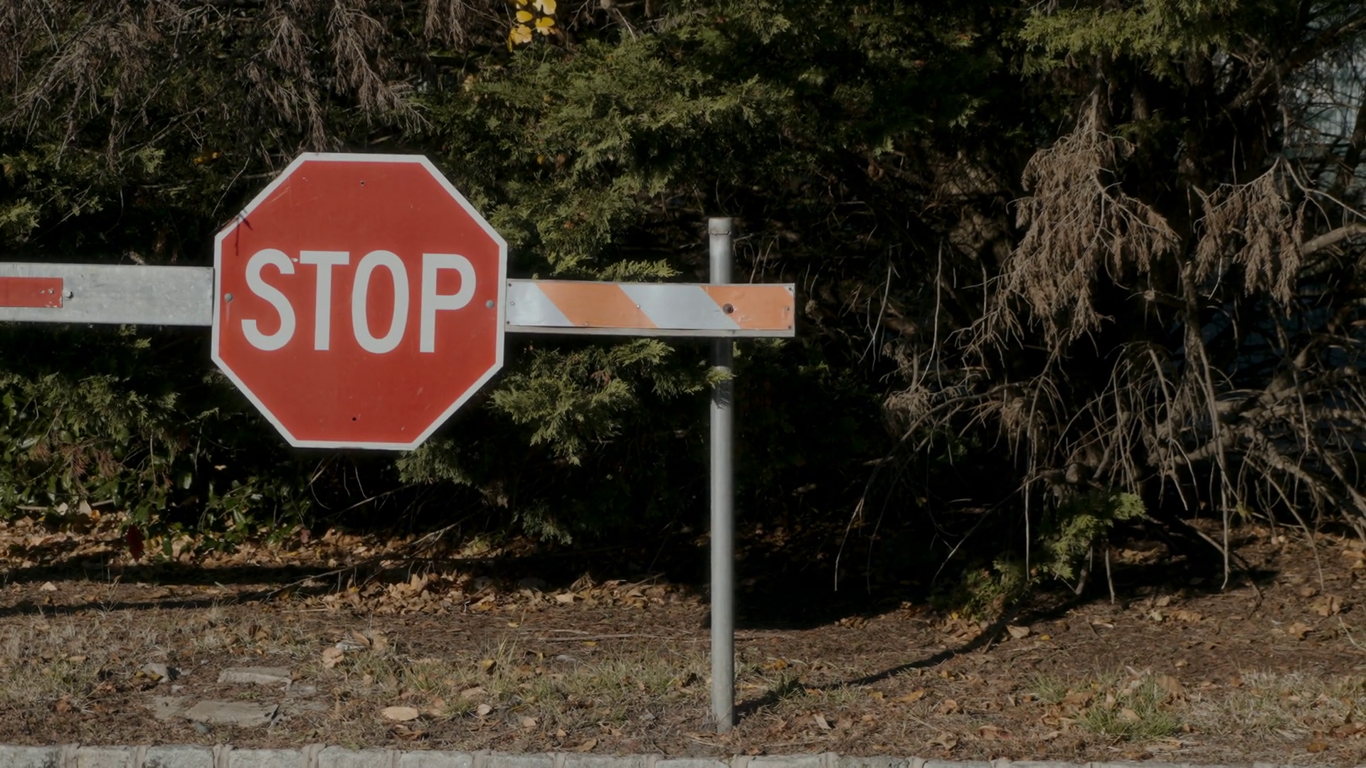 Stop Sign In Nature Capturing Essence Of Stock Footage SBV-352006088 ...