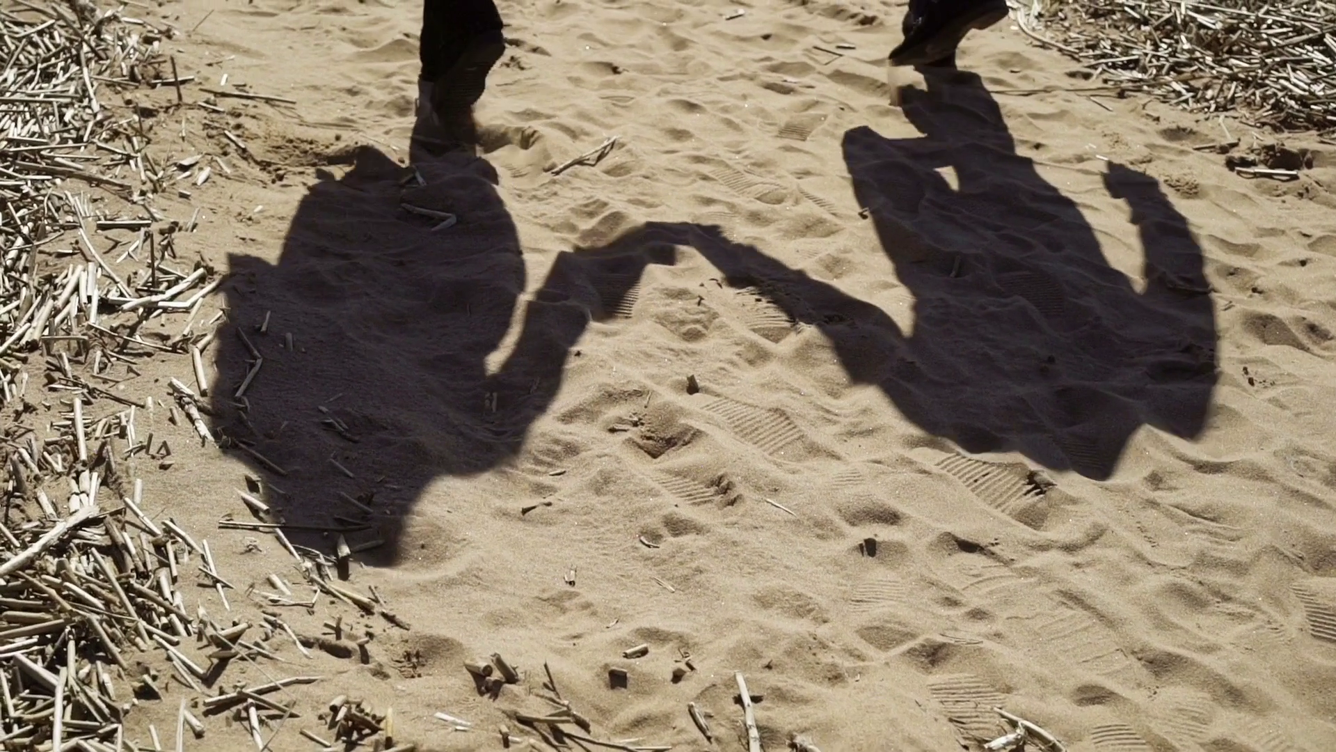 Young Couple Walking On Beach At Sunny Day Stock Footage SBV-352512238 ...