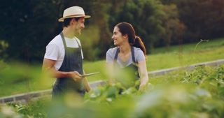Couple kissing, farm and smile for agriculture, bonding and happy together with tablet