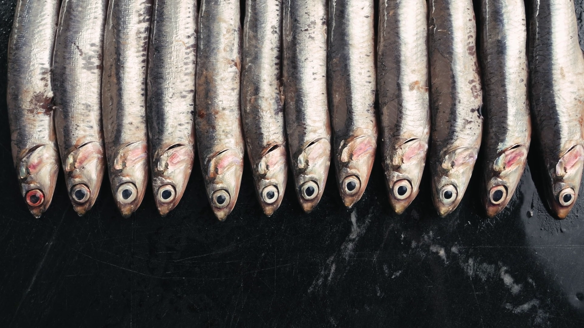 Fresh Sea Sardines Anchovy Fish Mullus On Stock Footage SBV-352457511 ...