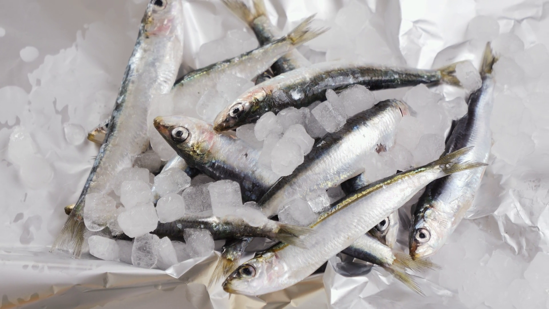 Fresh Sea Sardines Anchovy Fish Mullus On Stock Footage SBV-352456688 ...