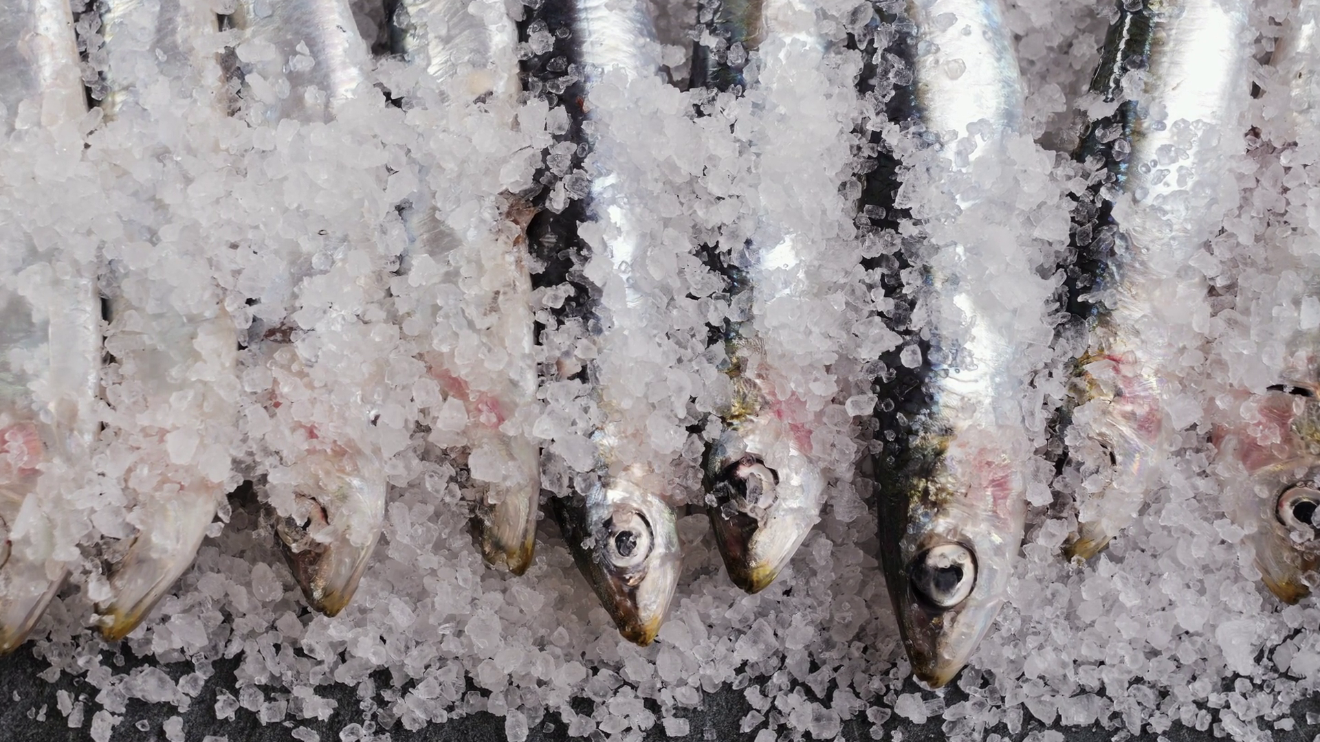 Chef Cooking Fresh Sea Sardines Anchovy Fish Stock Footage SBV ...
