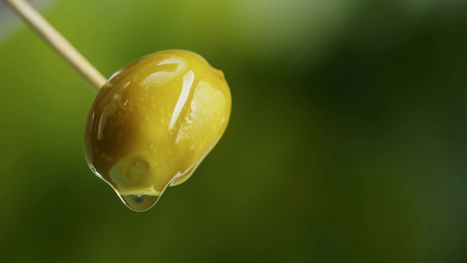 Wet Olive On Green Background Closeup Stock Footage SBV346793744