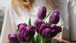 Bouquet of flowers purple tulips, in woman hands