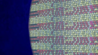 Coding UX UI script text on screen, HTML5 in editor for website development, Close up Macro of Programming code software developer.