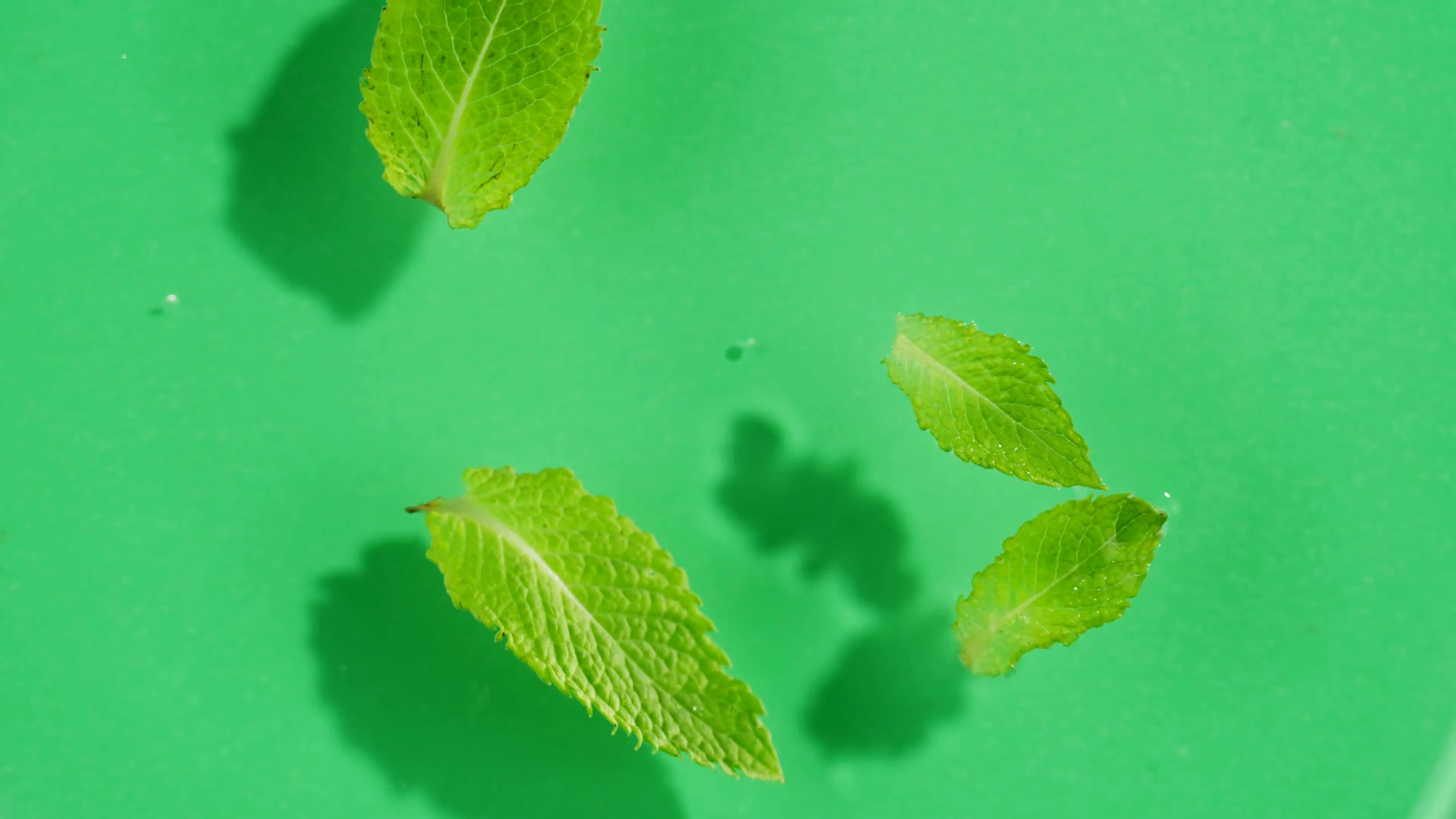 Mint Leaves In Water On Green Background Stock Footage SBV348590492