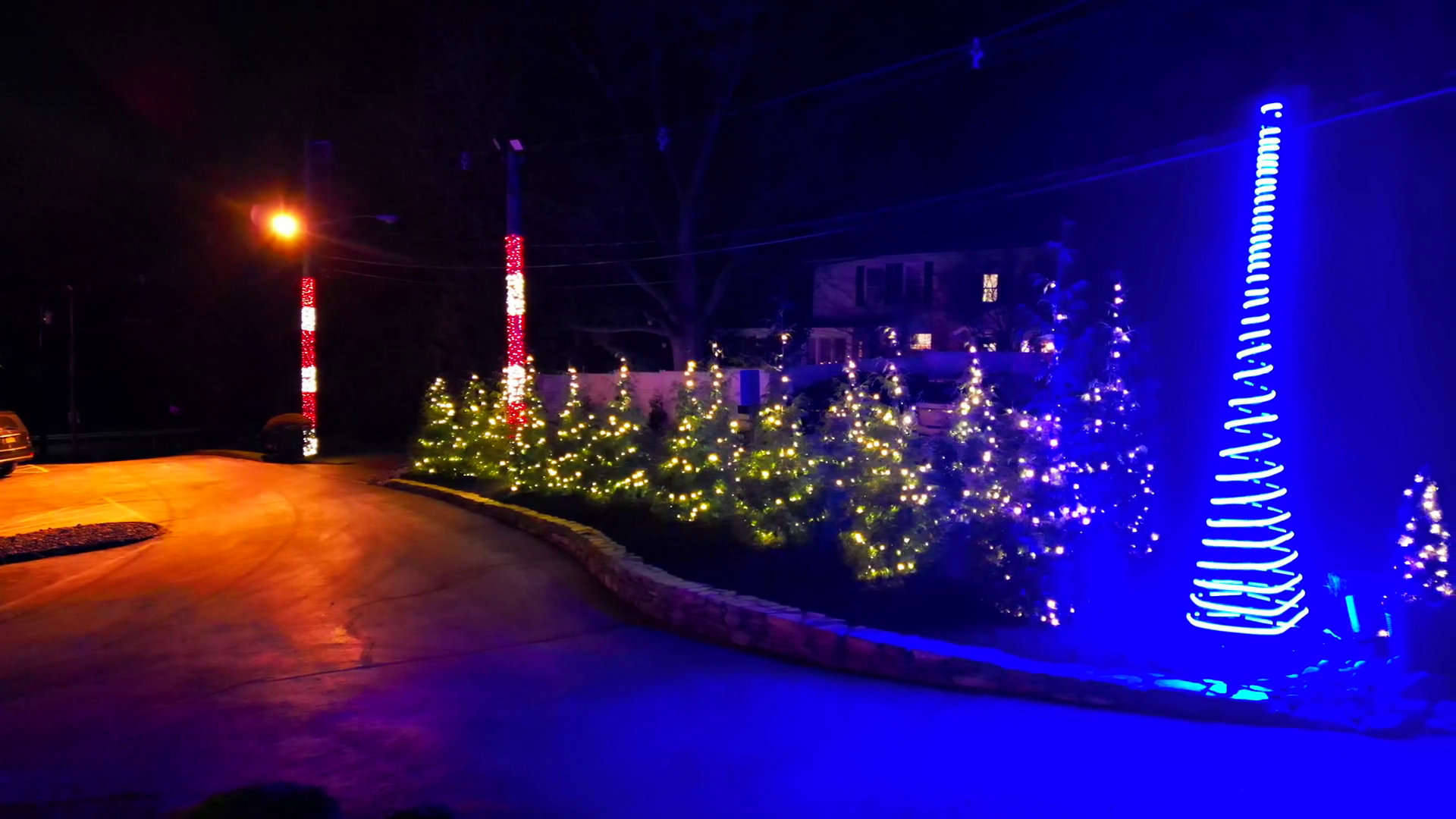 Beautifully Lighted Christmas Trees At Stock Footage SBV347516608