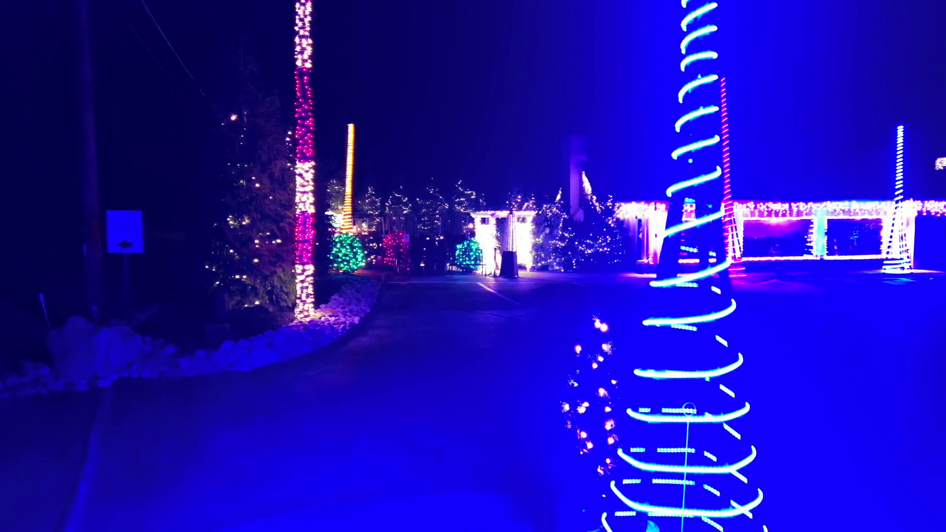 Beautifully Lighted Christmas Trees At Stock Footage SBV347516612