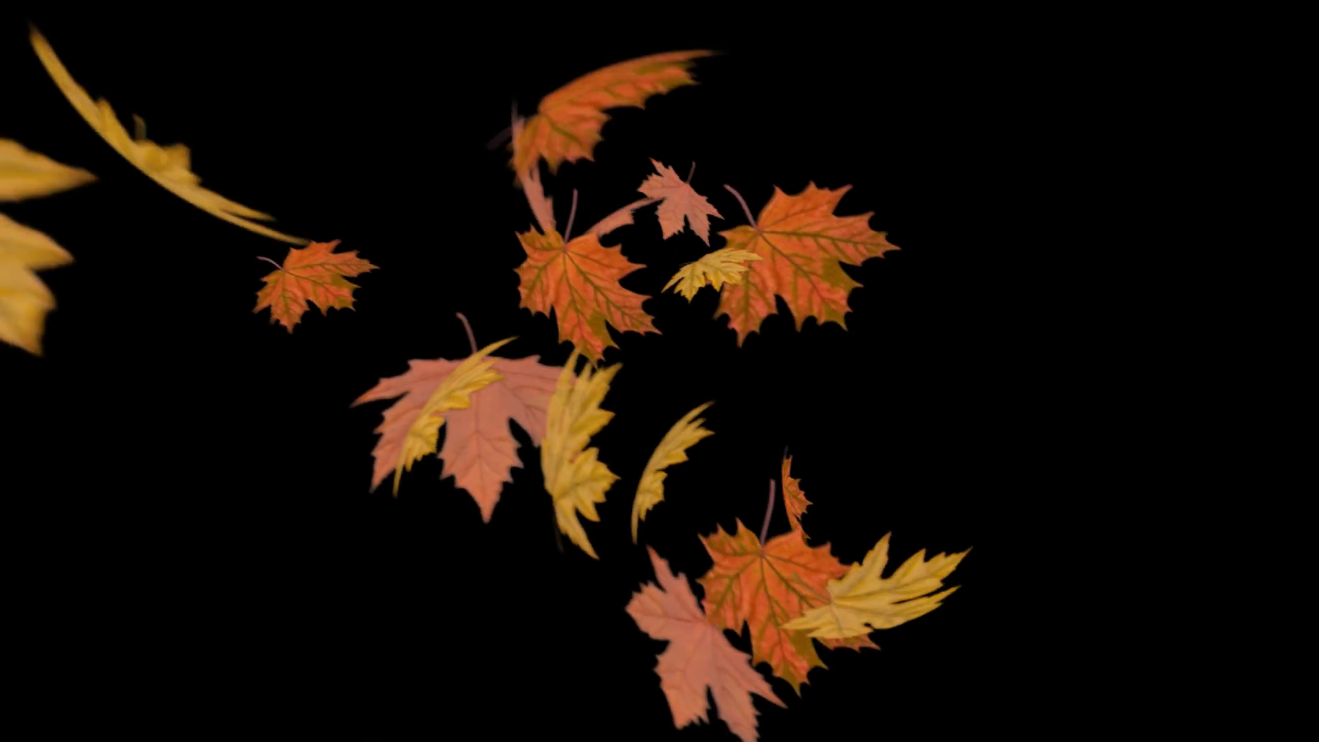 Animated Colorful Falling Autumn Leaves With Stock Footage SBV ...