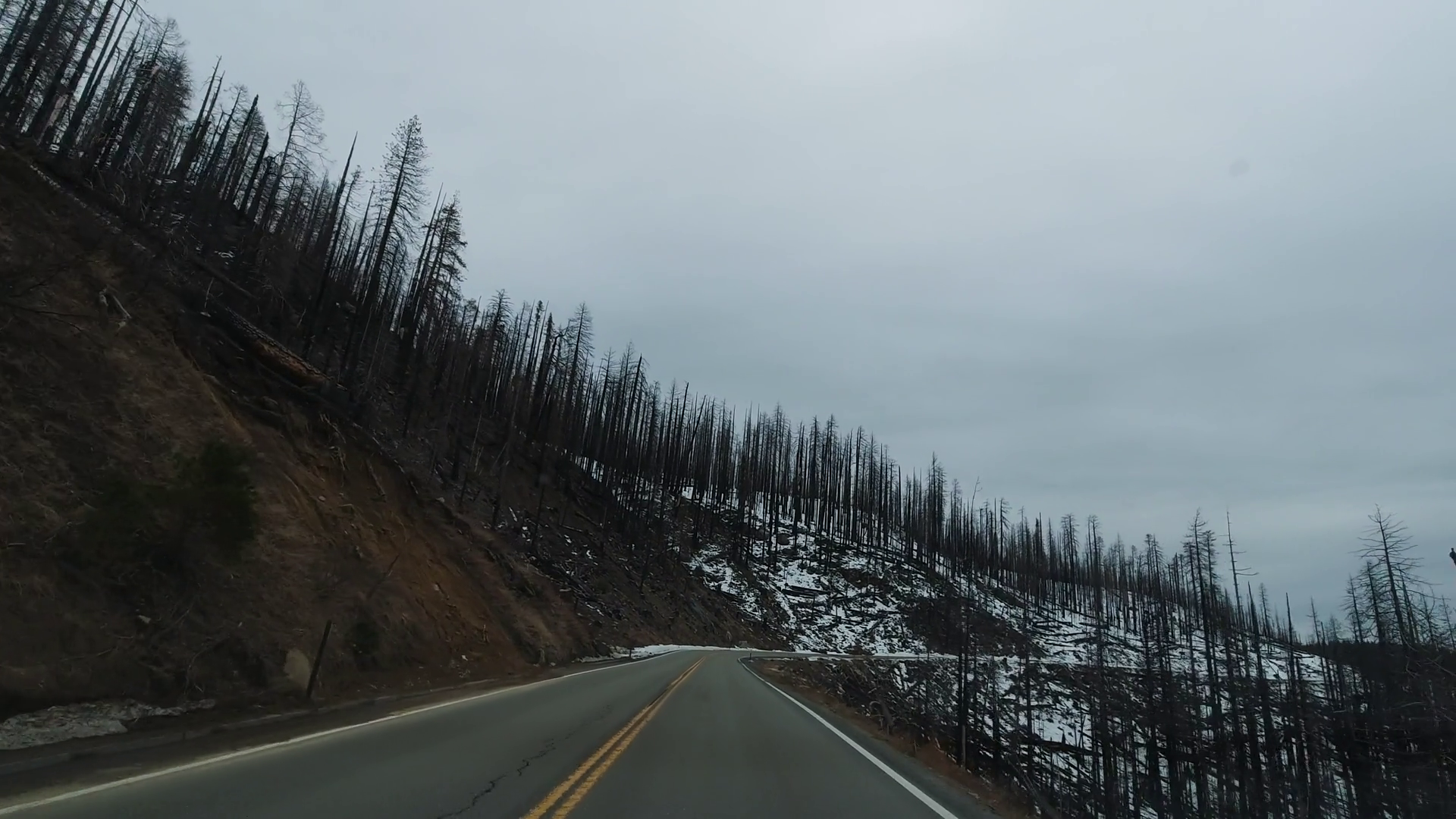 Driving Car In Yosemite National Park Stock Footage SBV347360005 Storyblocks