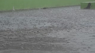 Raindrops on Concrete - A Unique Perspective