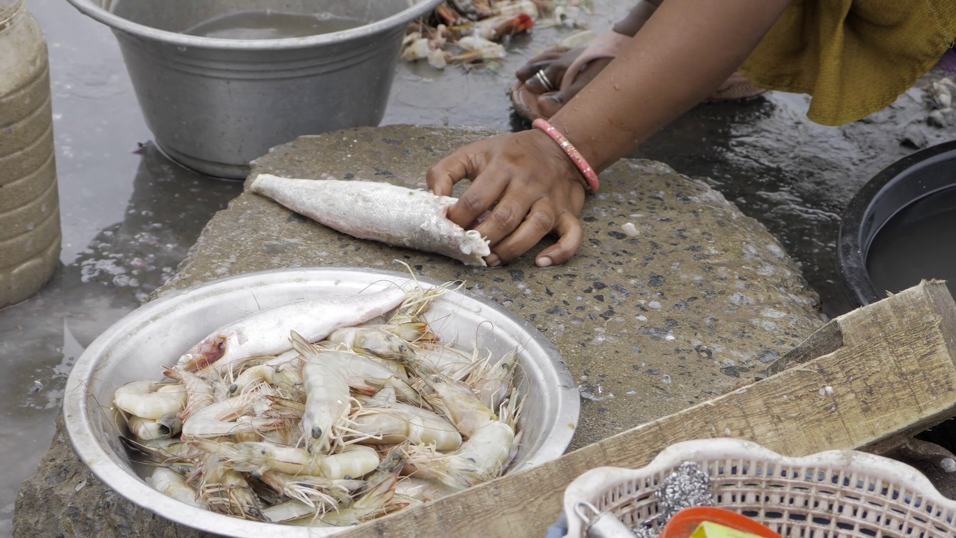 Handling Seafood With Efficiency - Glimpse Stock Footage SBV-353133710 ...