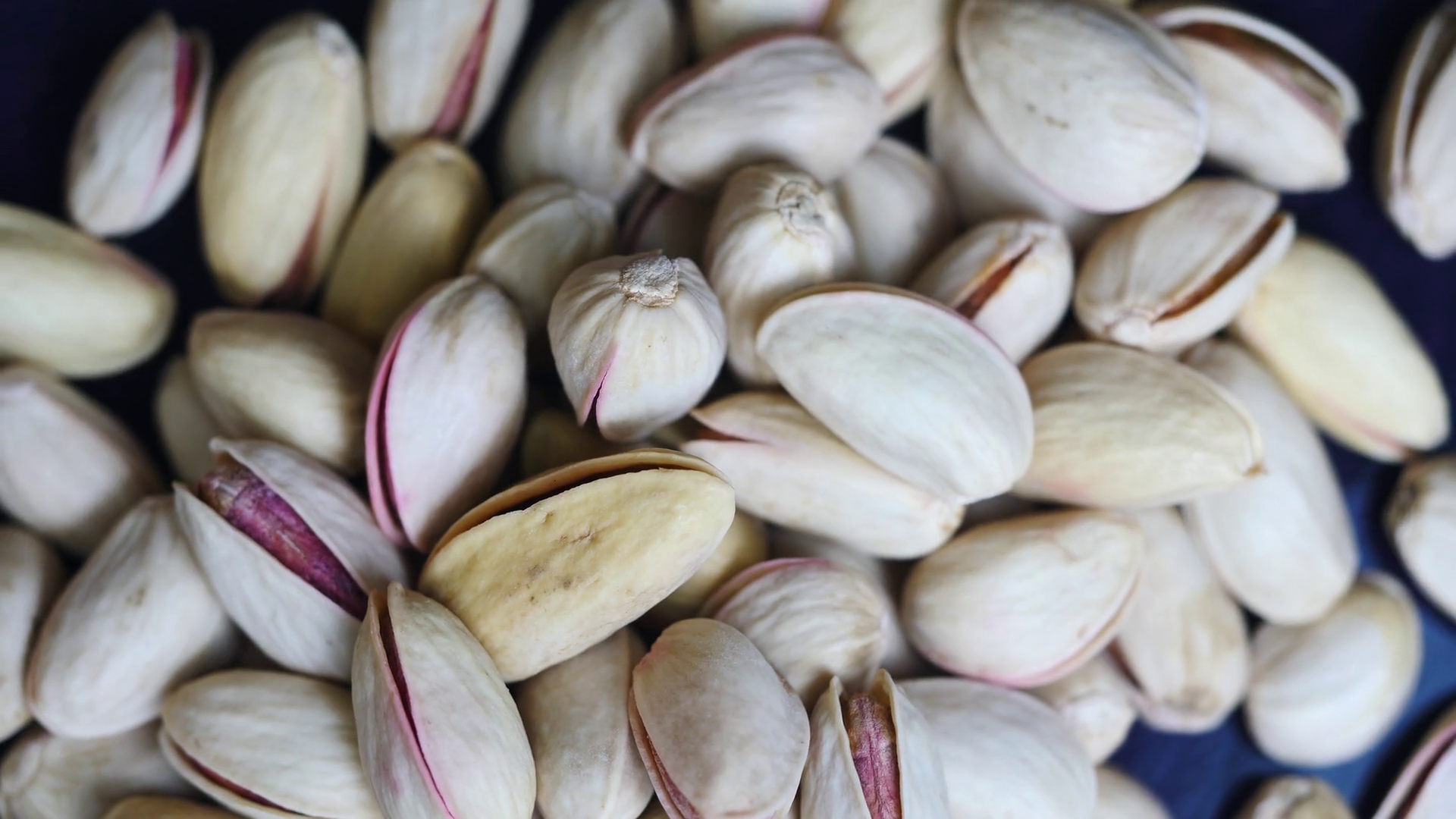 Pistachio Pistachio Nuts Pistachio Nuts Seed With Shell Close Up 7