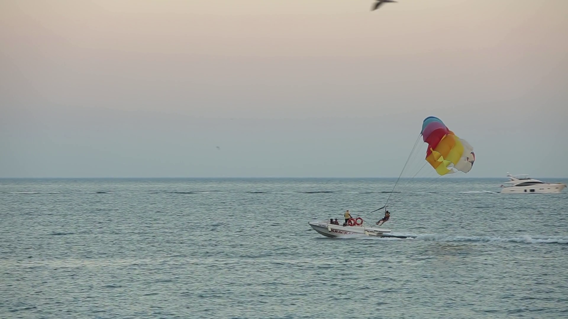 Boat Pulling Parachute Over Blue Sea At Stock Footage SBV347289559