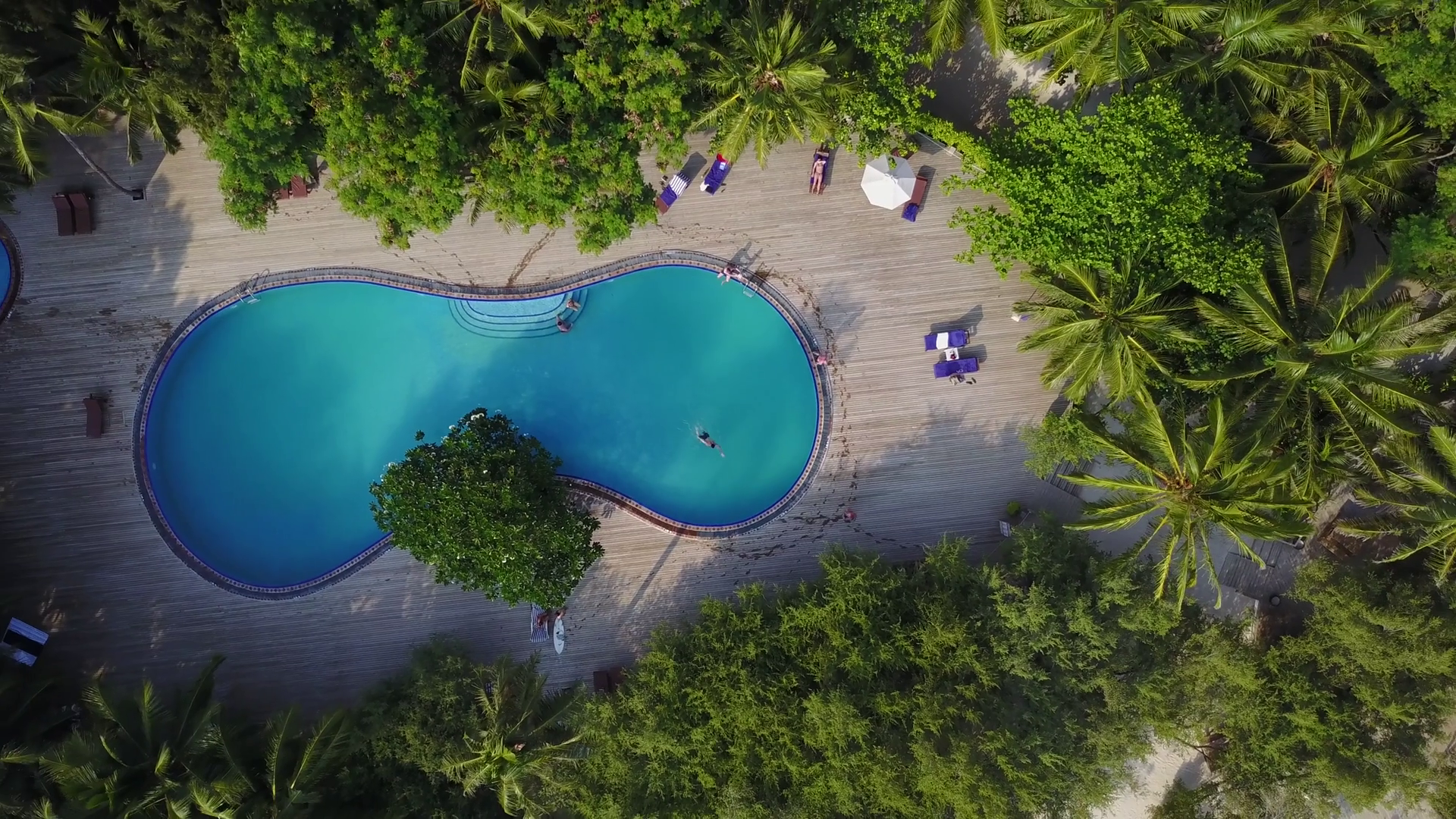 Top view of Maldives island, camera is rising over the swimming pool on