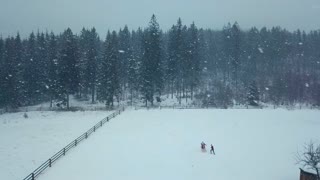 Winter aerial of couple running and having fun in heavy snowfall towards forest. Snowy engagement ceremony. Romantic wedding inspiration.