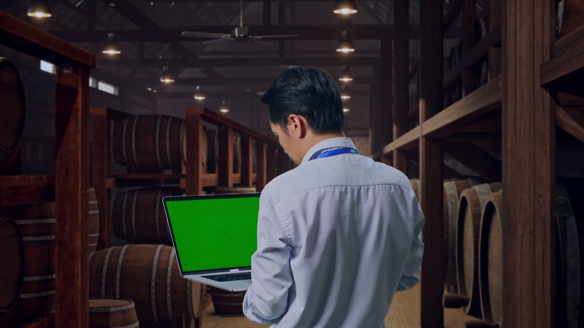 Asian Male Use Green Screen Laptop In Cellar Stock Footage SBV ...