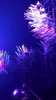 Christmas decorations on the tree. Christmas tree isolated on black background with with beautiful conceptual illumination with professional