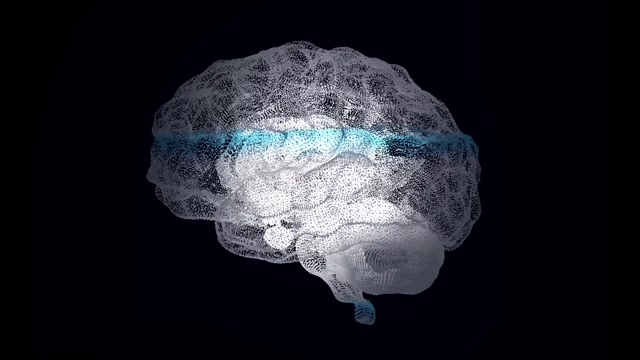 Download 748 Brain Animation Motion Backgrounds - Storyblocks