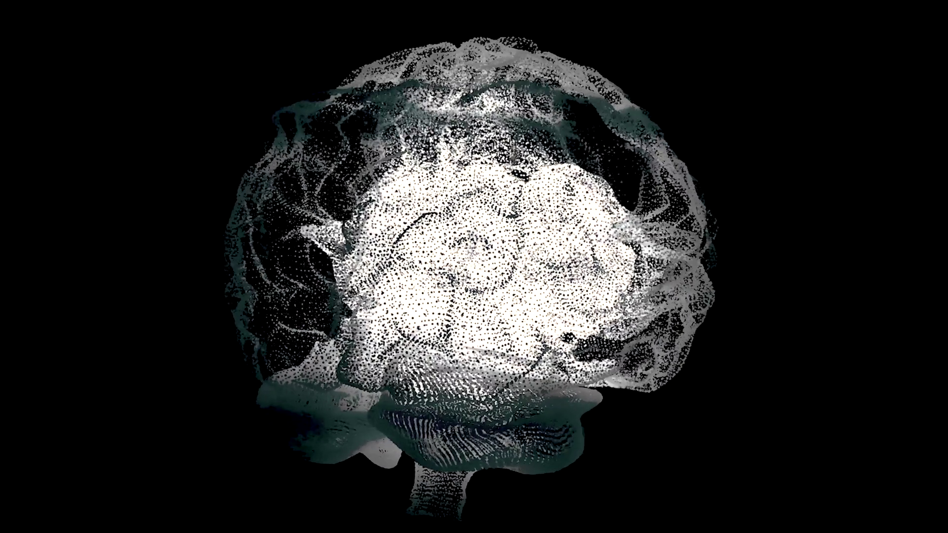 Human White Brain On Black Science Anatomy Stock Footage SBV-348514007