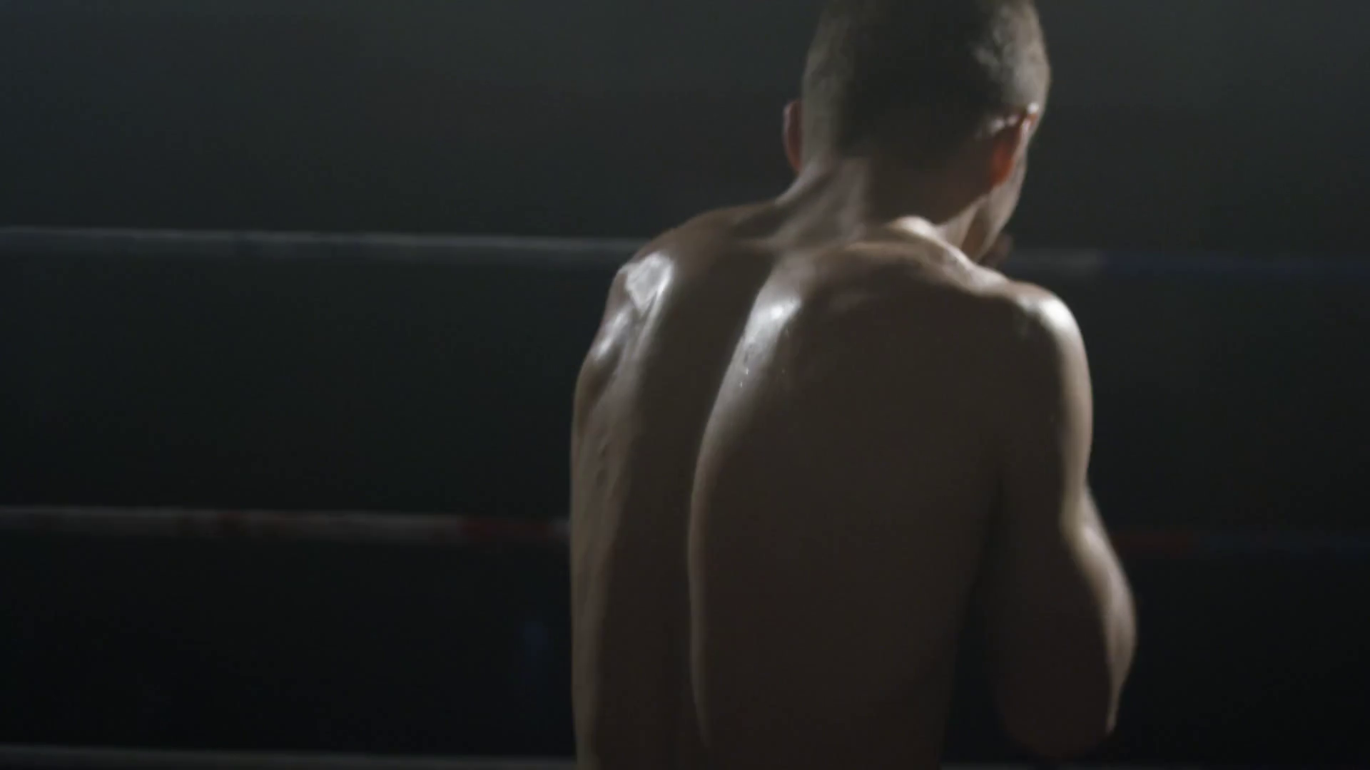 Shadow Boxer Strong Muscular Boxer Workout Stock Footage SBV-348523124 ...