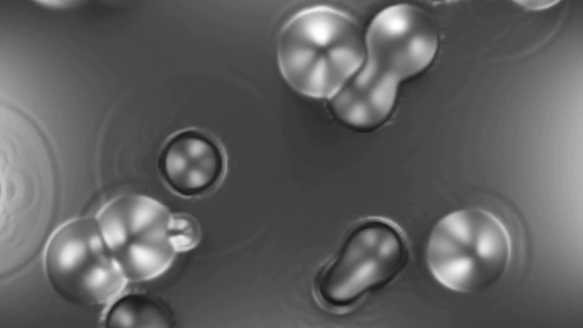 Boiling Unknown Liquid Substance Design Stock Motion Graphics SBV ...