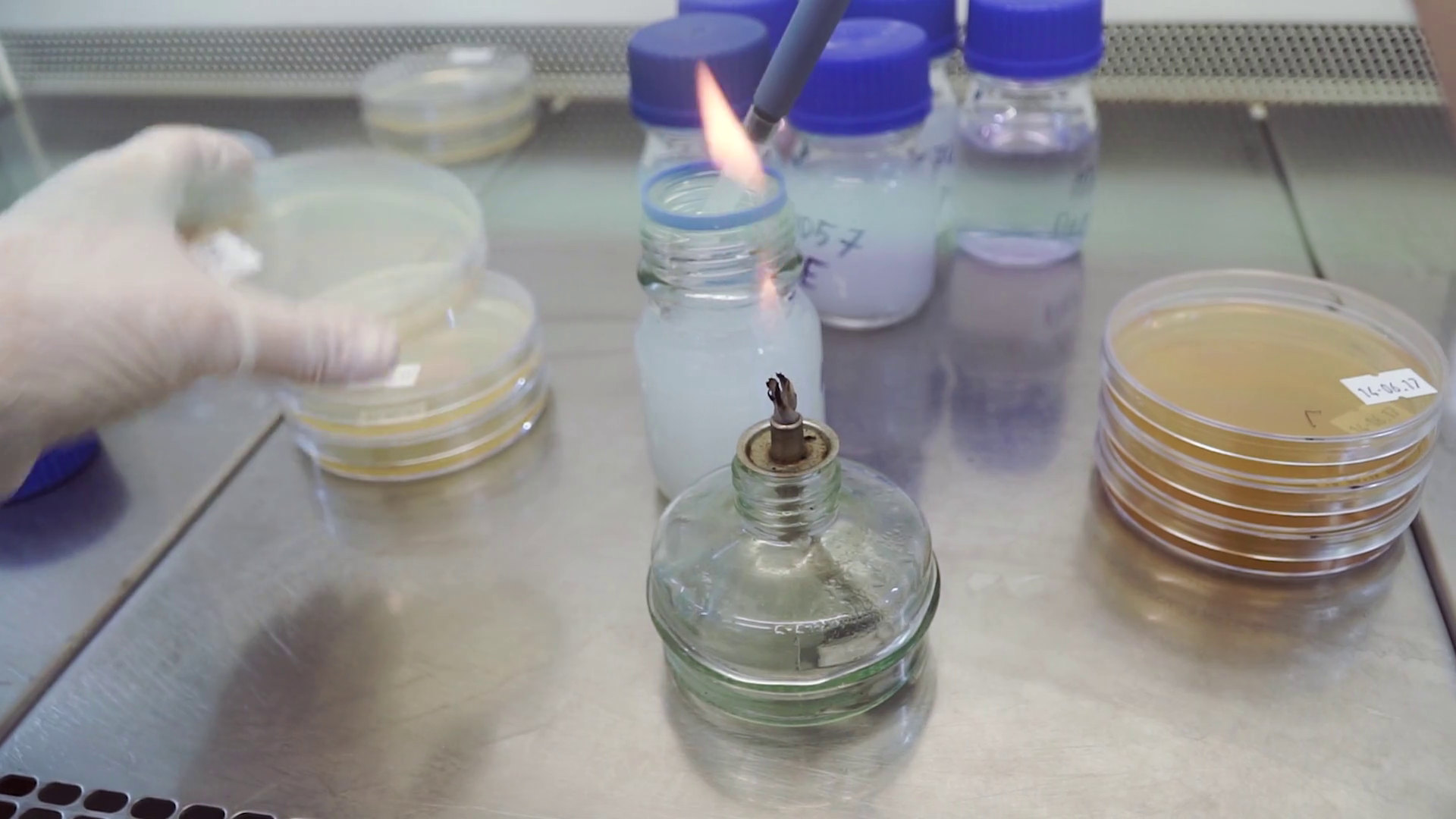 Bunsen Burner Flame Test In Science Stock Footage SBV348587132