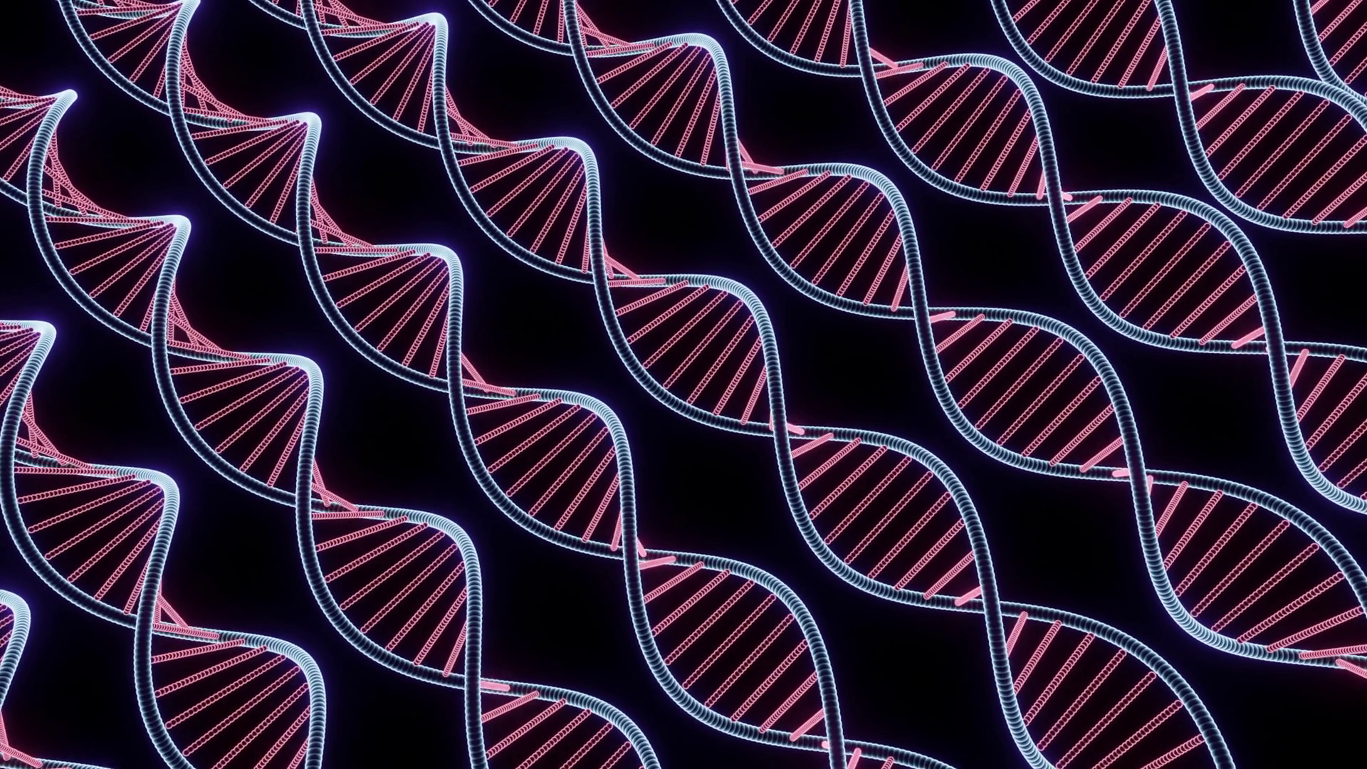Rotating Dna Isolated On Black Background Stock Motion Graphics SBV ...