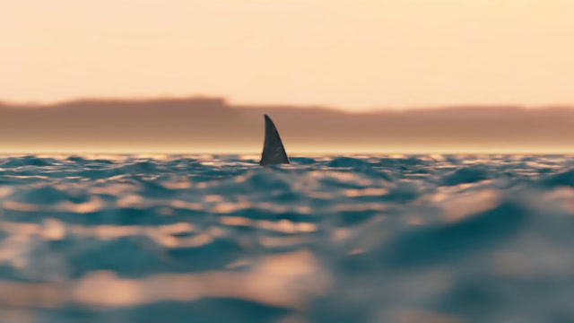 Teeth Animation | Nature motion backgrounds - Storyblocks