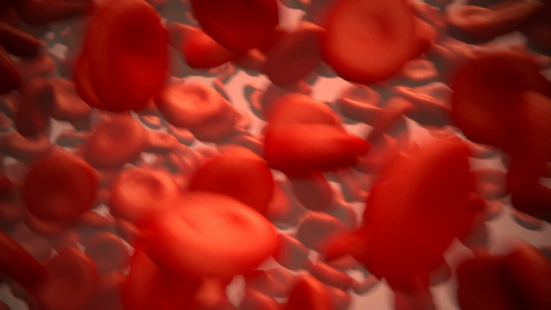 Close Up Of The Red Blood Cells In The Artery Life In The Blood Vessel 
