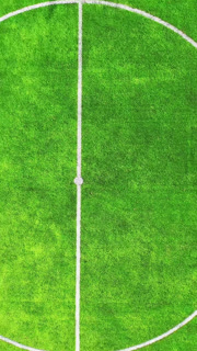 Soccer field on stadium. Green background of a football field. Modern stadium for team sport. Aerial view of a bright green soccer field on a sunny day. White lines designate the boundaries of the field, the center circle, and the goal boxes. The