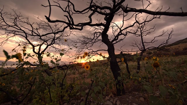 Scary Sunset Stock Footage: Royalty-Free Video Clips - Storyblocks