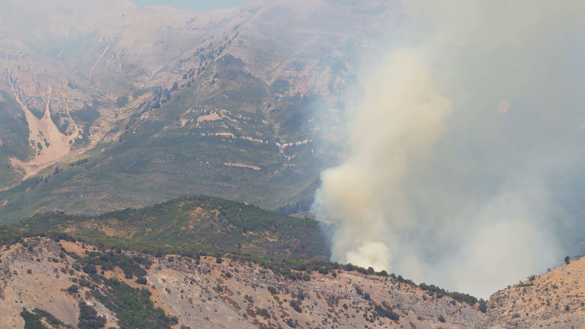 Forest Fire Burning On Timpanogos Mountain Stock Footage SBV-348573300 ...