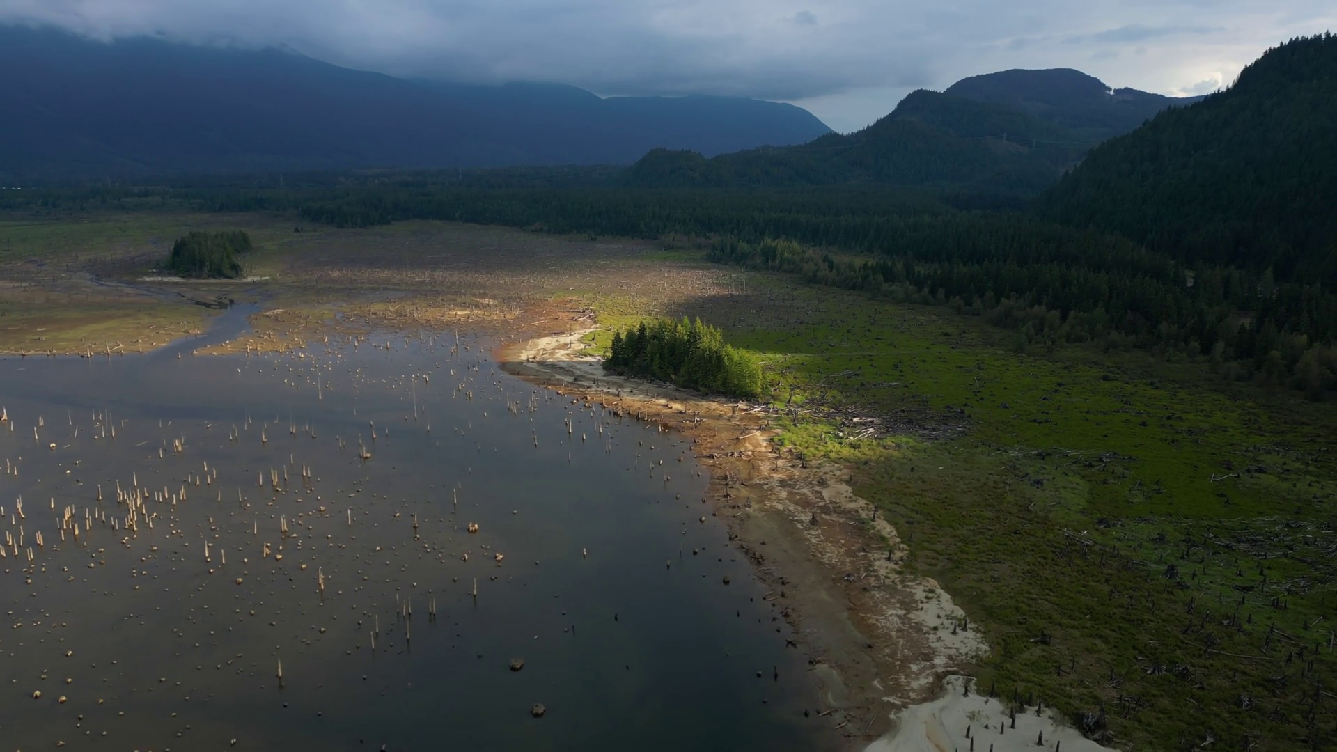Aerial View Of Stagnant Lake With Tree Stock Footage SBV-351938270 ...