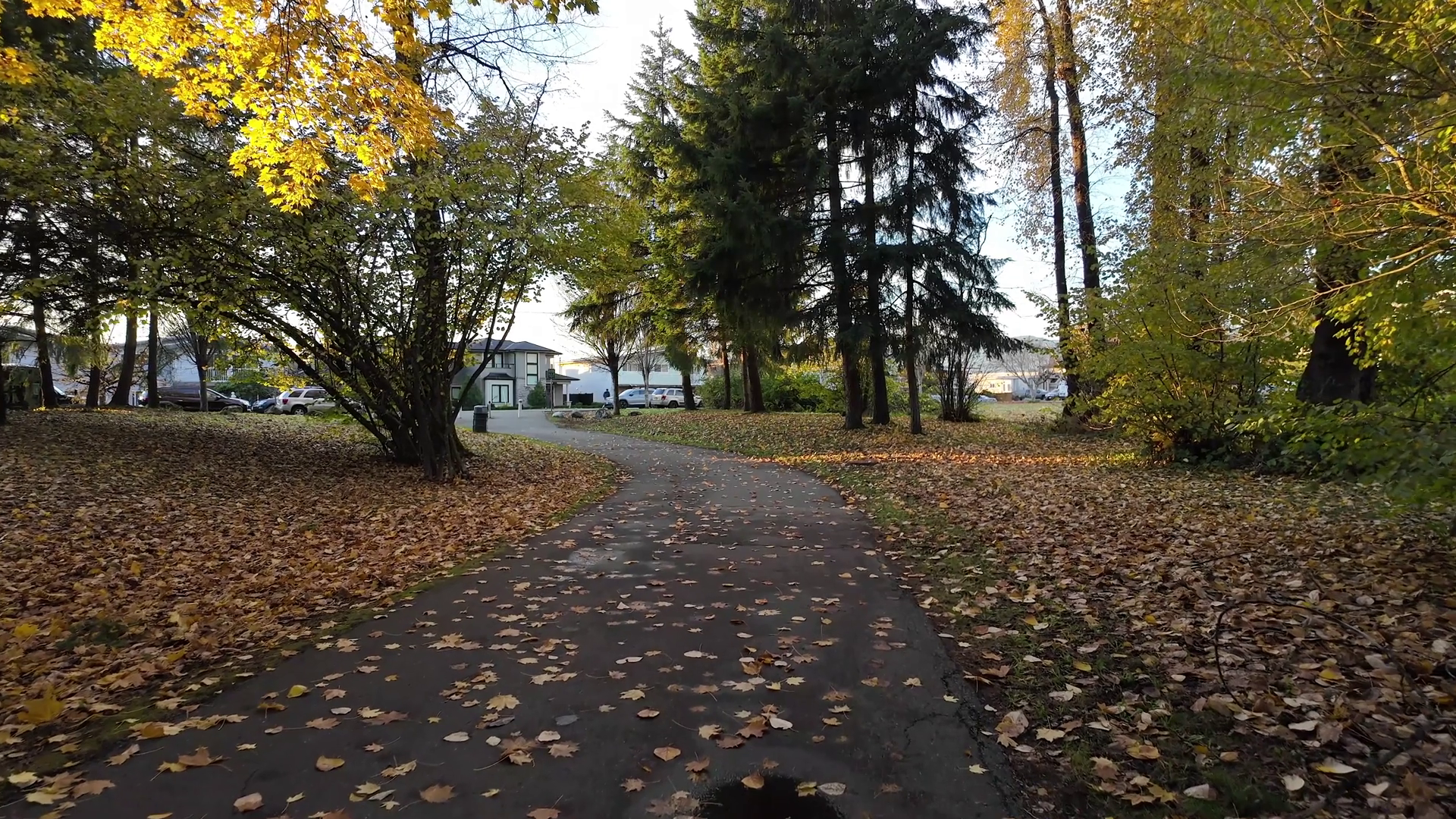 Scenic Walking Path In Suburban Neighborhood Stock Footage SBV ...
